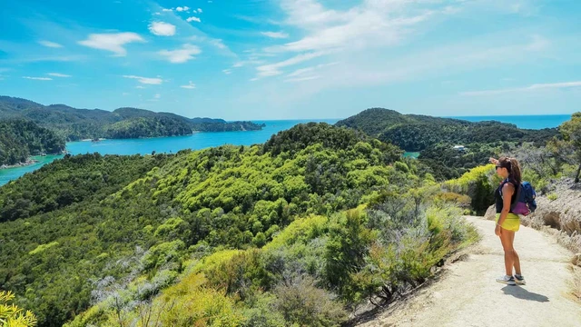 Woman walking Queen Charlotte Track
