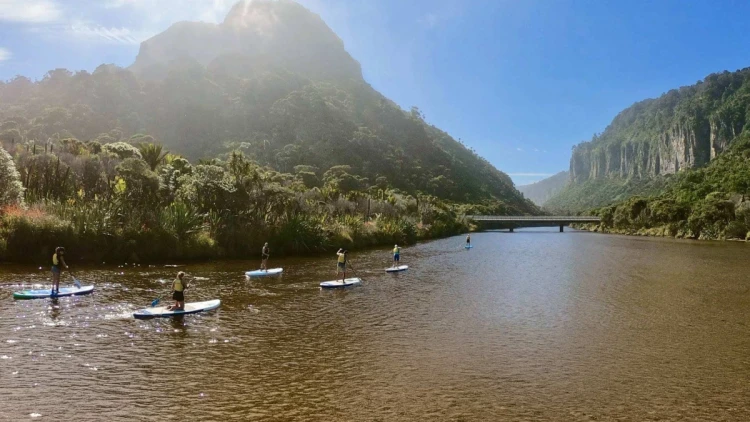 Group of people paddle boarding in Punakaiki