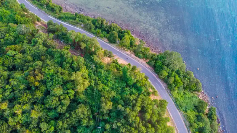 Winding coastal road in New Zealand