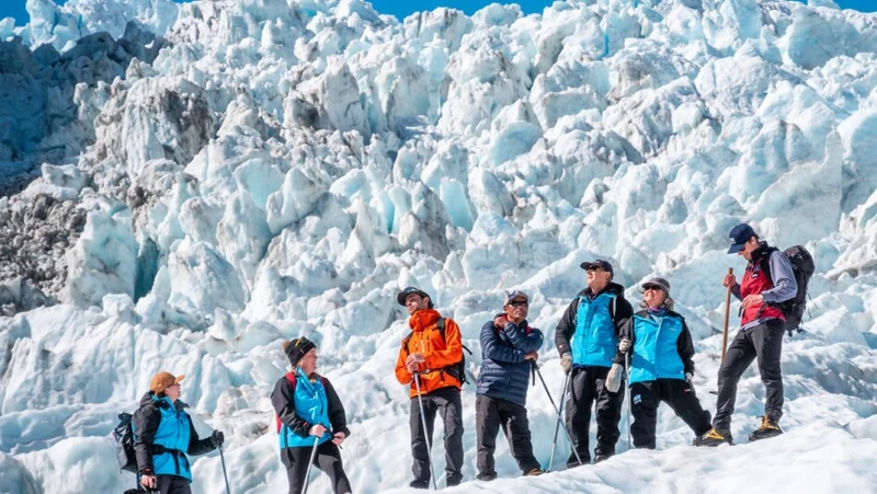 Fox Glacier New Zealand