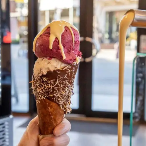 Patagonia Ice Cream