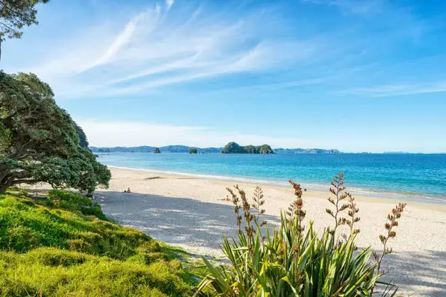 Hahei Beach
