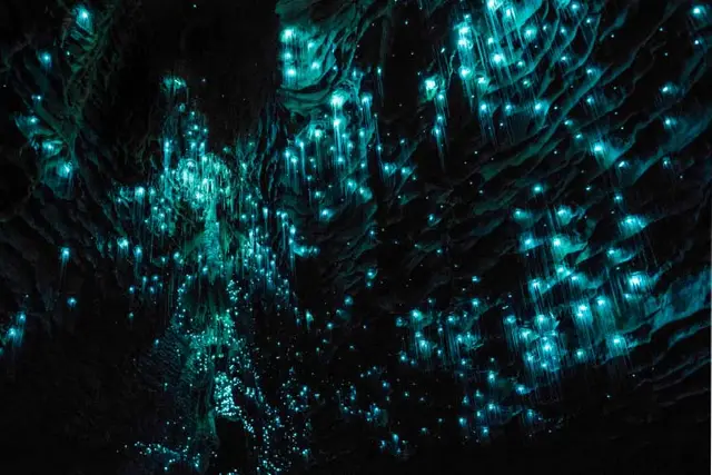Te Anau glowworm cave