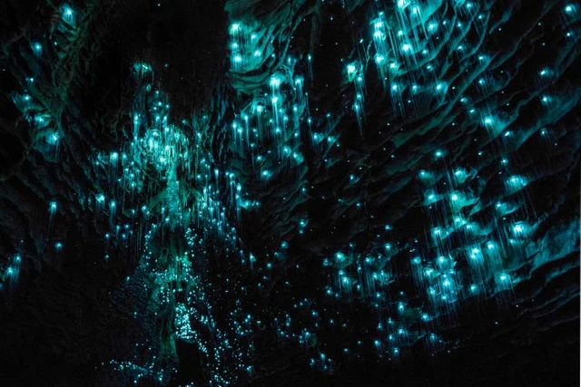 Te Anau glowworm cave