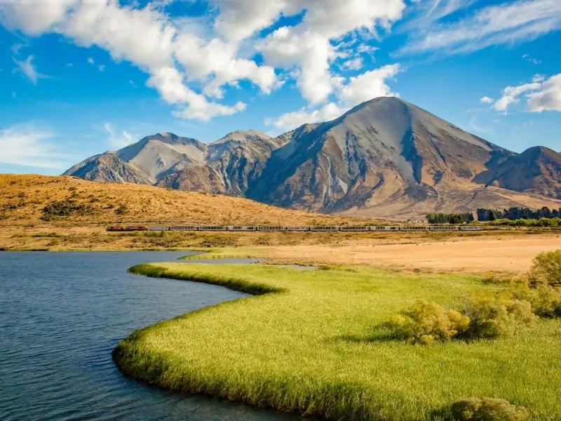 The TranzAlpine train travels through a wide open South Island landscape in New Zealand, with calm water in the foreground, golden grasslands and towering mountains under a bright blue sky. This scenic stretch captures the scale and natural beauty that make the TranzAlpine one of the most famous rail journeys in New Zealand.