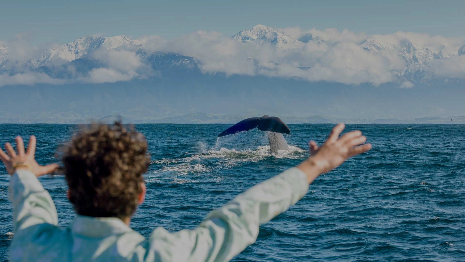 Man whale watching in Kaikoura, New Zealand