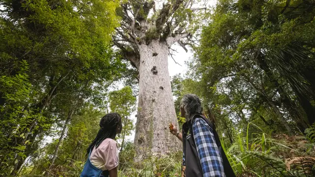 Couple looking up at Tāne Mahuta