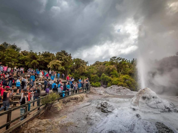 Lady Knox geyser