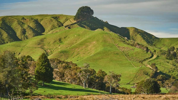 Farmland in Waikato in New Zealand