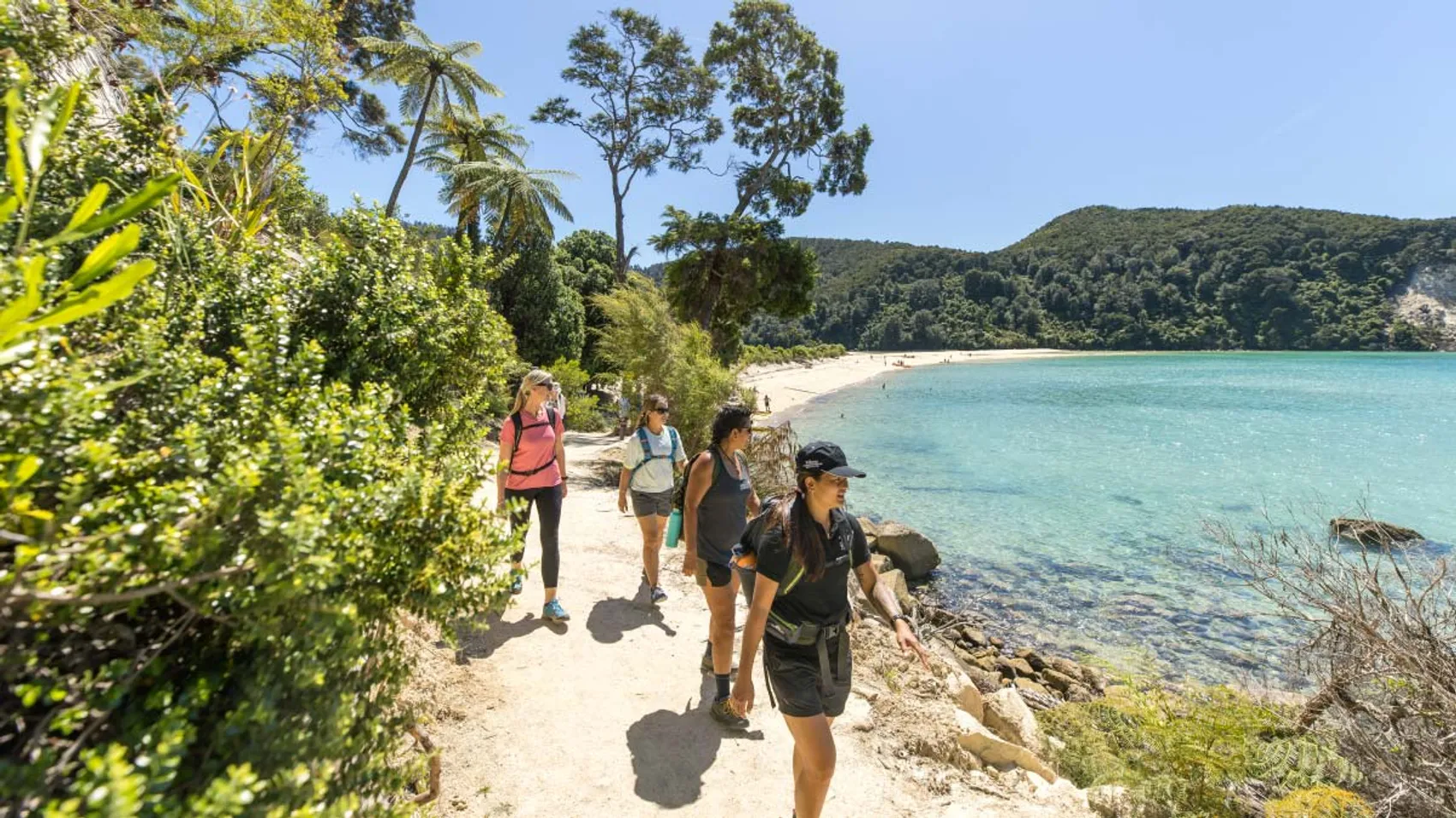 Group of people hiking in Abel Tasman National Park