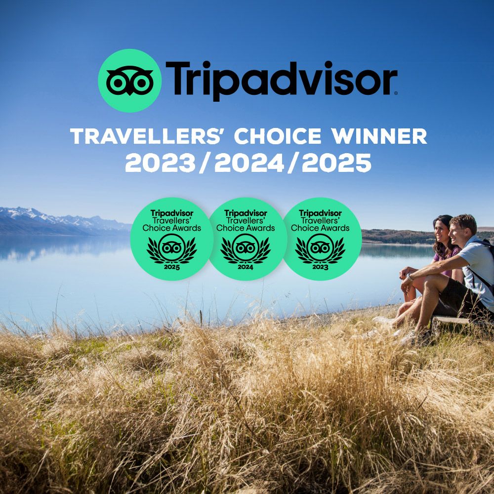 TripAdvisor Travelers' Choice logo