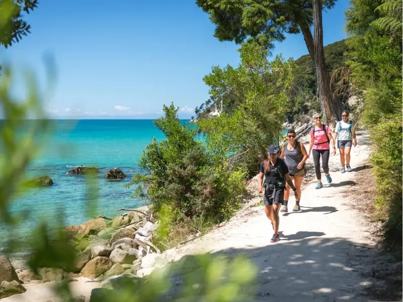 A group of travellers hiking the Abel Tasman Coast Track on New Zealand’s South Island, following a coastal walking trail beside turquoise water, sandy beaches and native forest.