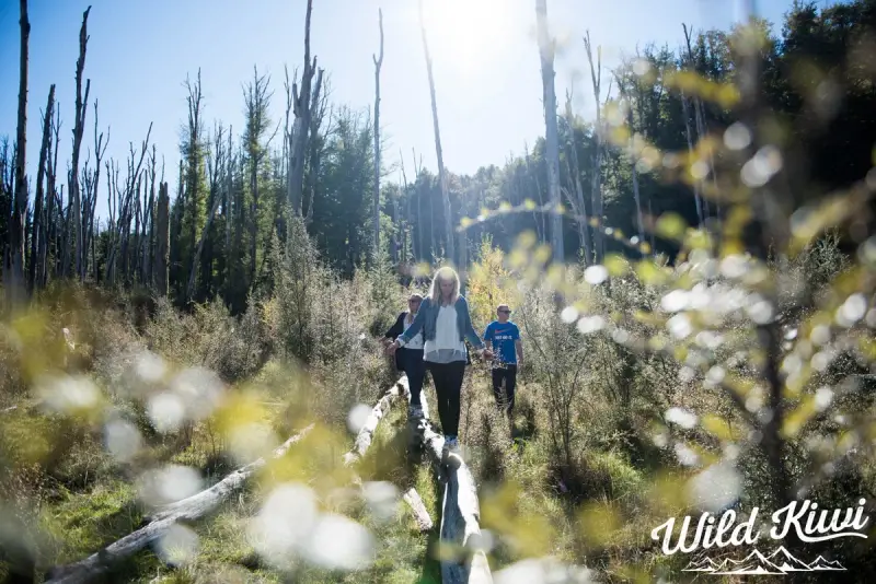 Trek through New Zealand's amazing countryside - See more on a road trip