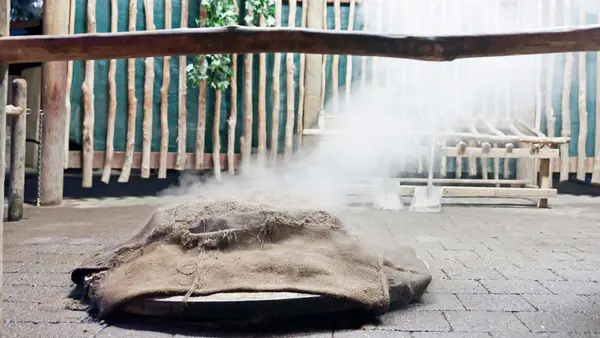 Hangi meal cooking at Waitangi