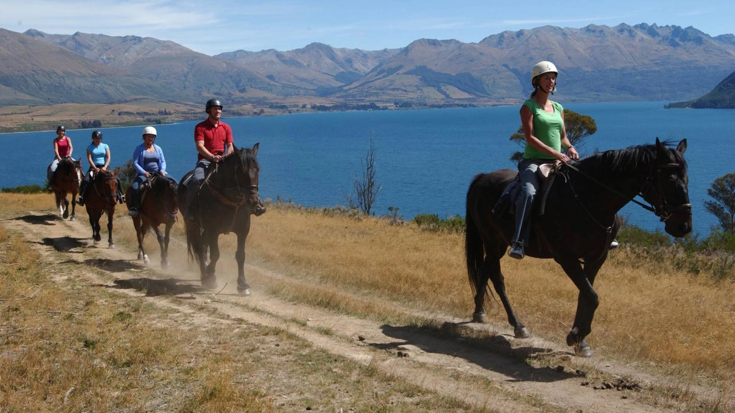 Group of people horse riding in New Zealand