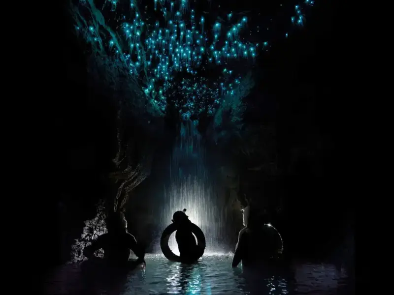 Travellers floating through Waitomo Glowworm Caves beneath blue glowing cave ceilings, highlighting one of New Zealand’s best winter activities beyond skiing and a unique noctourism experience for a North Island winter itinerary.