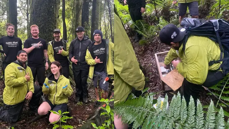 Wild Kiwi team members join Rotorua Canopy Tours guides in native New Zealand forest to support hands-on pest control and conservation work, helping protect native bush, wildlife habitats and endangered bird species as part of Wild Kiwi’s commitment to responsible travel in Aotearoa.
