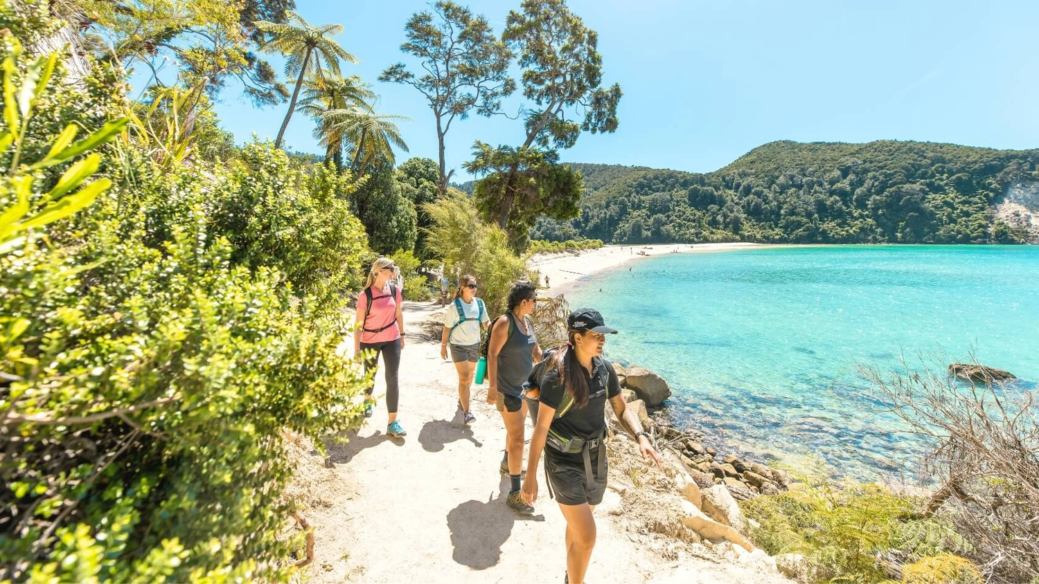 Group of travellers hiking the coastal track in Abel Tasman National Park, New Zealand, with turquoise water, golden sand beaches, and lush native forest under clear summer skies.