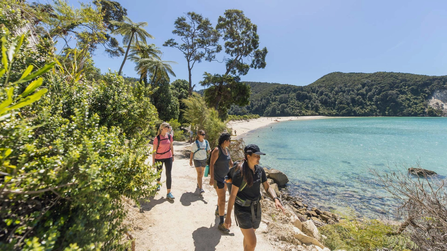 Group of people walking the Abel Tasman National Park in New Zealand