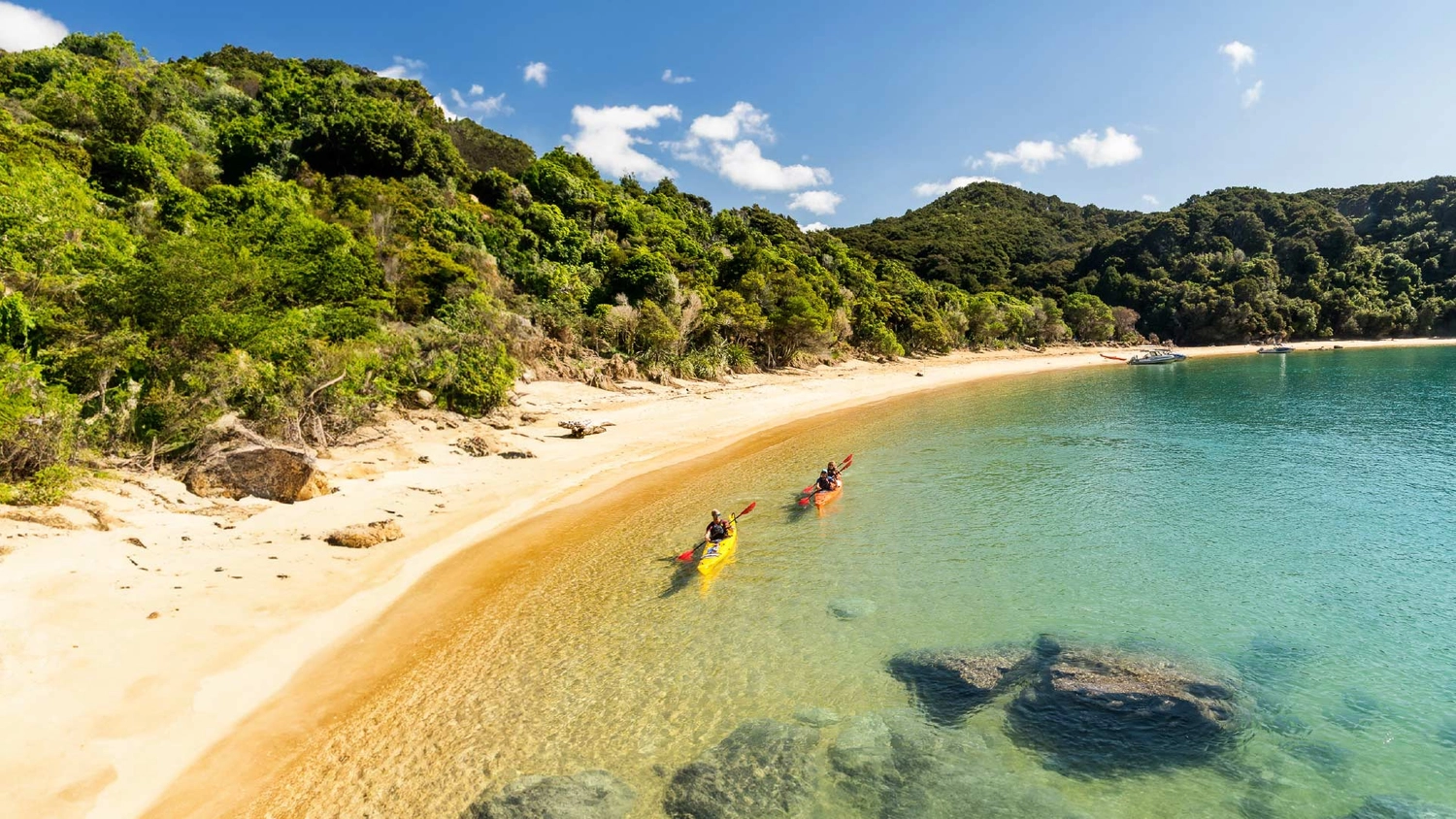 Two people kayaking in Abel Tasman National Park