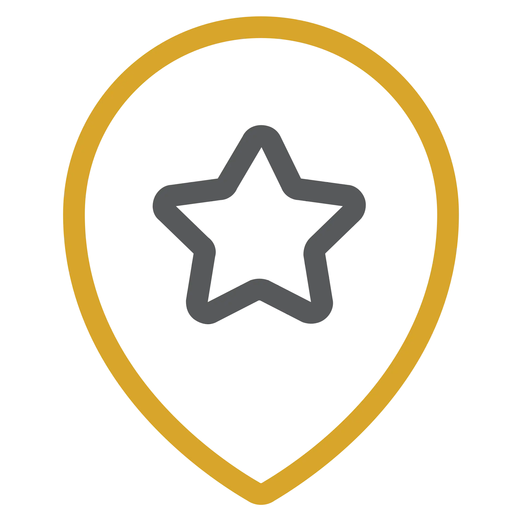 star pin icon