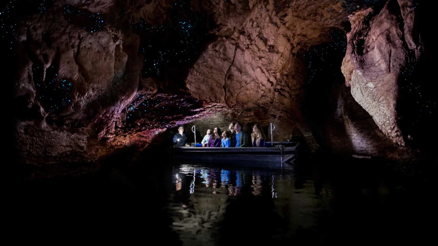 Group of people on a boat looking at glowworms