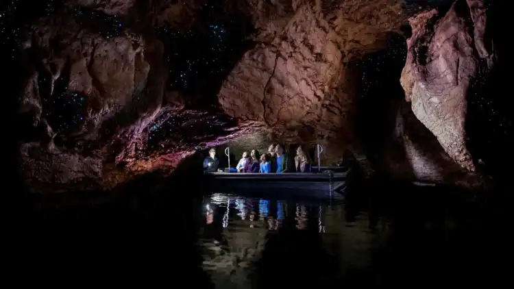 Group of people on a boat looking at glowworms