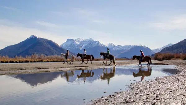 Horse riding in Queenstown