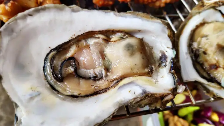 Bluff oysters