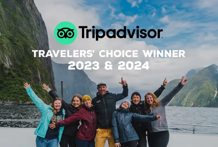 TripAdvisor Travelers' Choice Winner logo