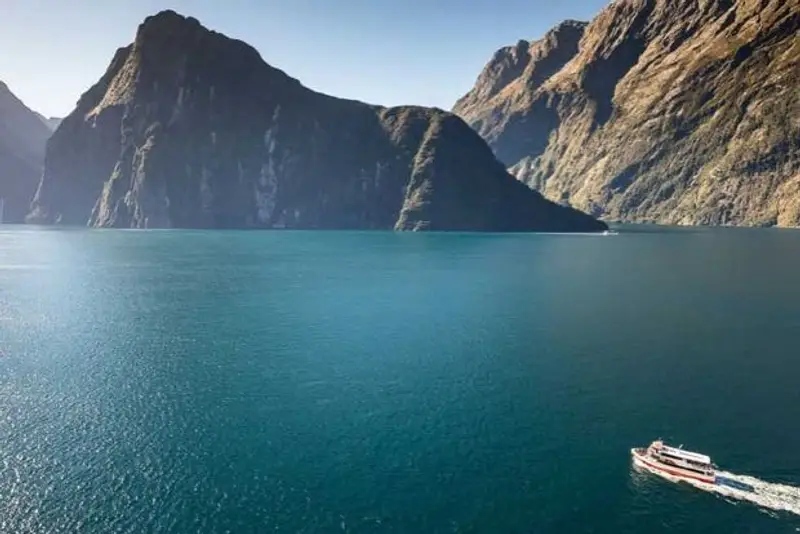 Cruise Milford Sound with Wild Kiwi Tours