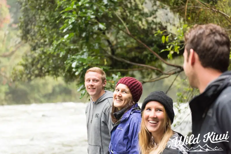 Road tripping in New Zealand - Experience natural wonders up close and personal