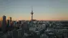 The skyline in Auckland city at sunset