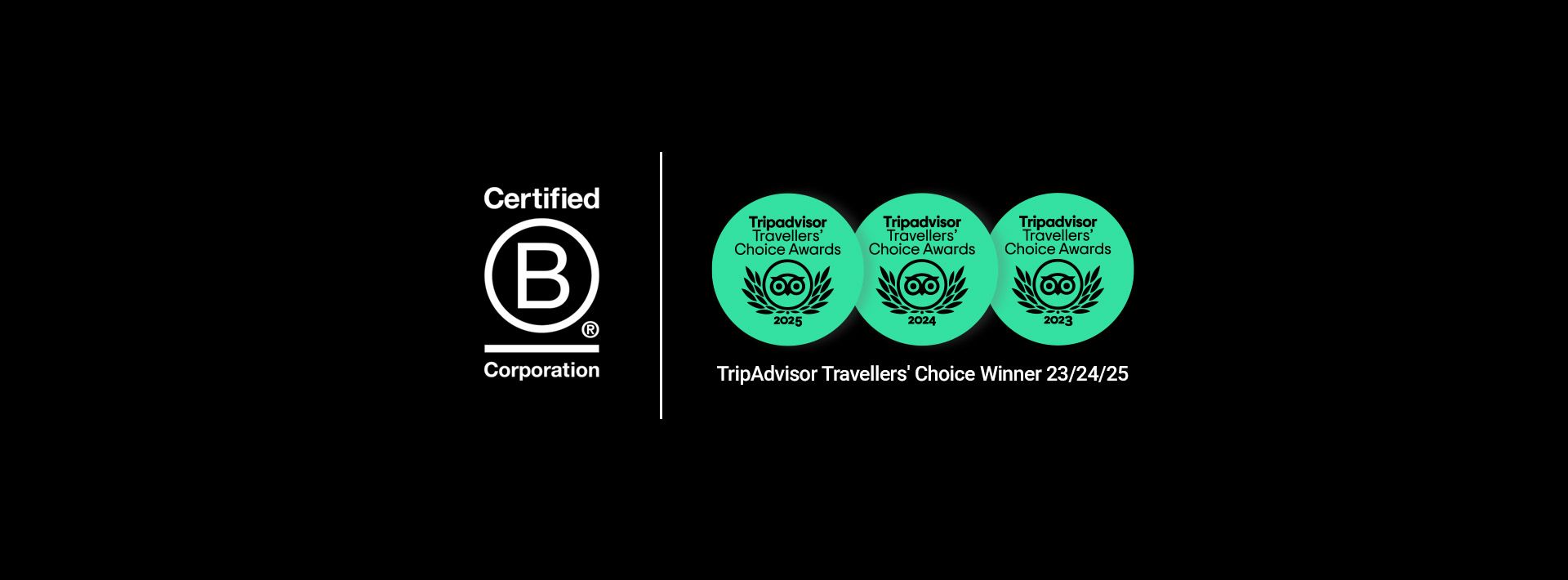 B Corp Logo and TripAdvisor Logos