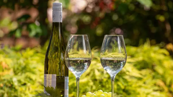 Two glasses of white wine and a bottle