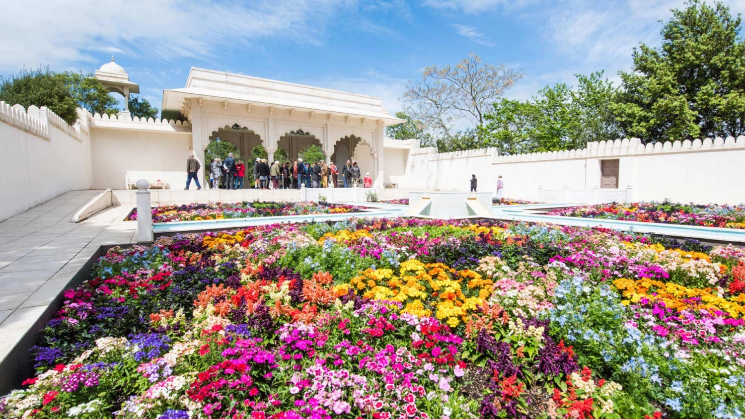 Hamilton Gardens flower display