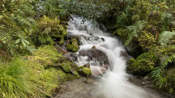 Waterfall at Lewis Pass in New Zealand