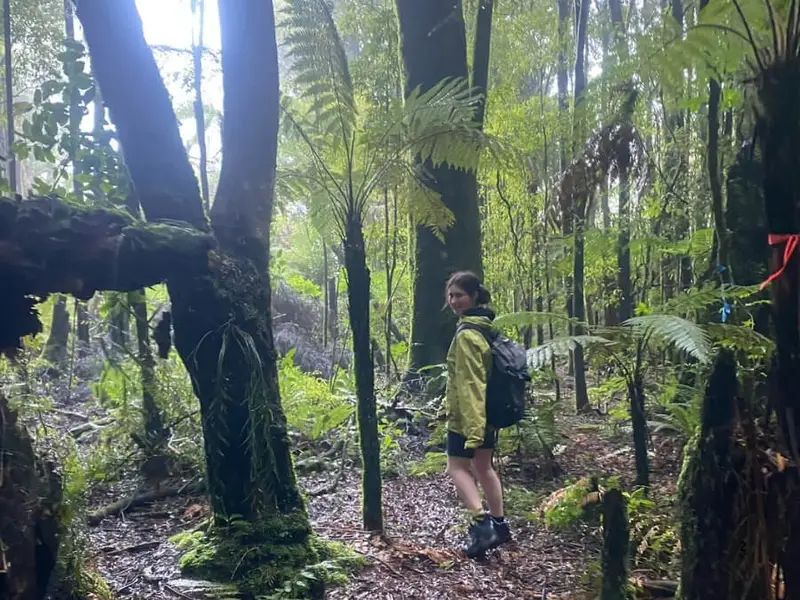 A Wild Kiwi team member walks through lush native New Zealand forest during conservation work with Rotorua Canopy Tours, supporting pest control, habitat protection and responsible travel efforts that help preserve Aotearoa’s native bush and wildlife.