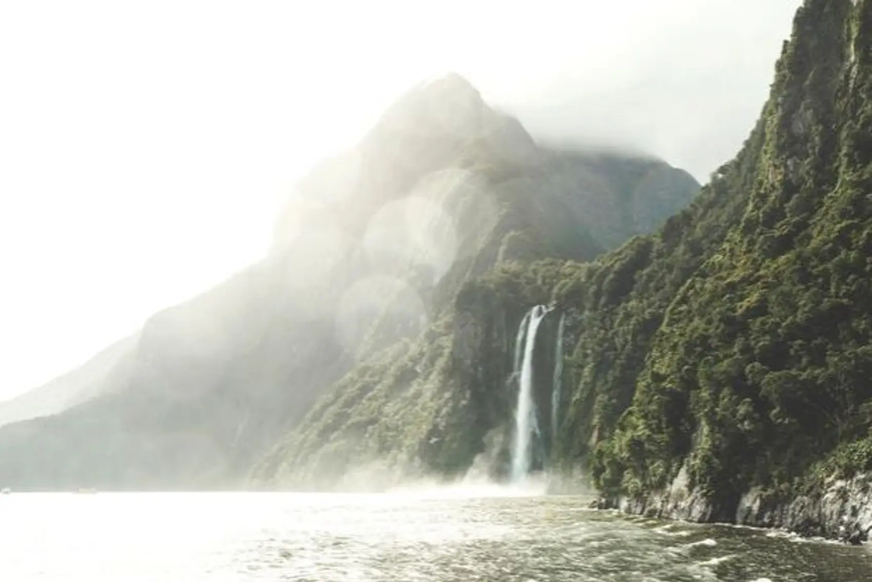 Visit Milford Sound with Wild Kiwi