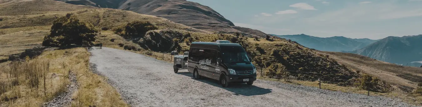 Wild Kiwi vehicle parked on the side of the road