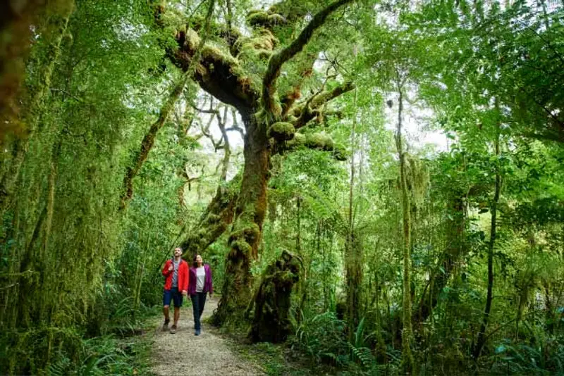 Oparara Arches walk in New Zealand