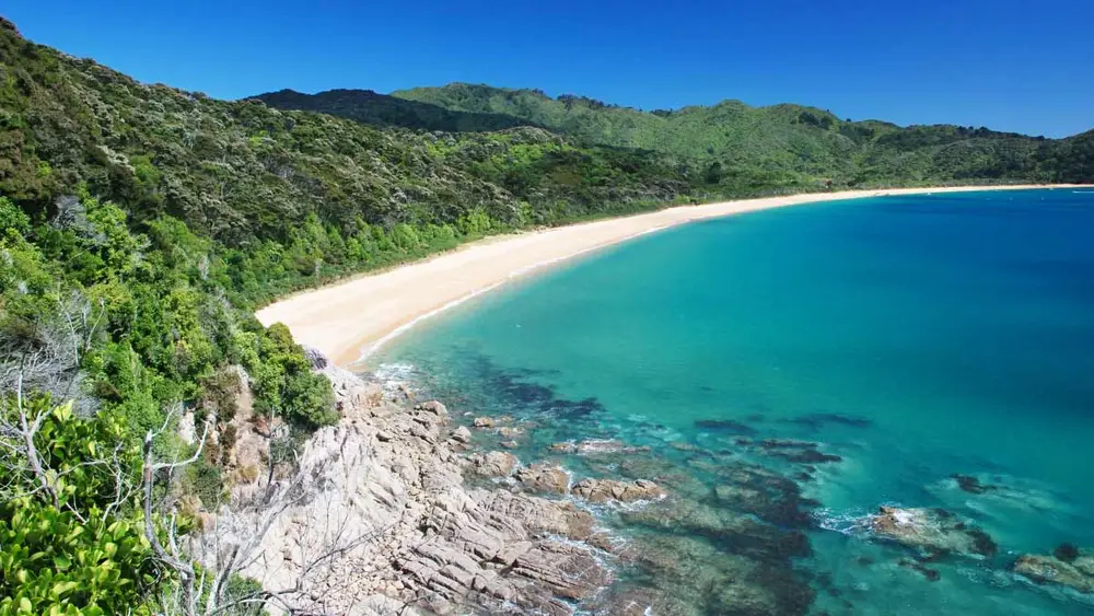 Beautiful bay in Abel Tasman National Park