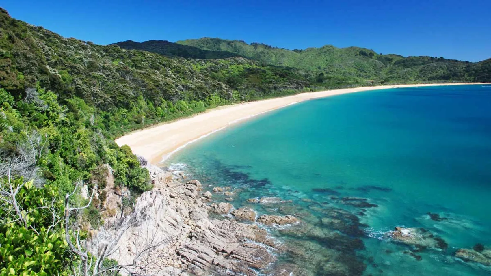 Beautiful bay in Abel Tasman National Park