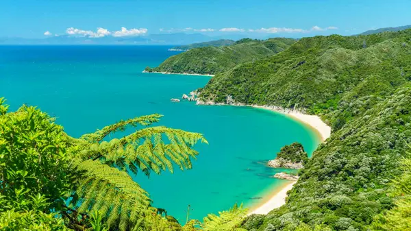 Beach at Abel Tasman National Park