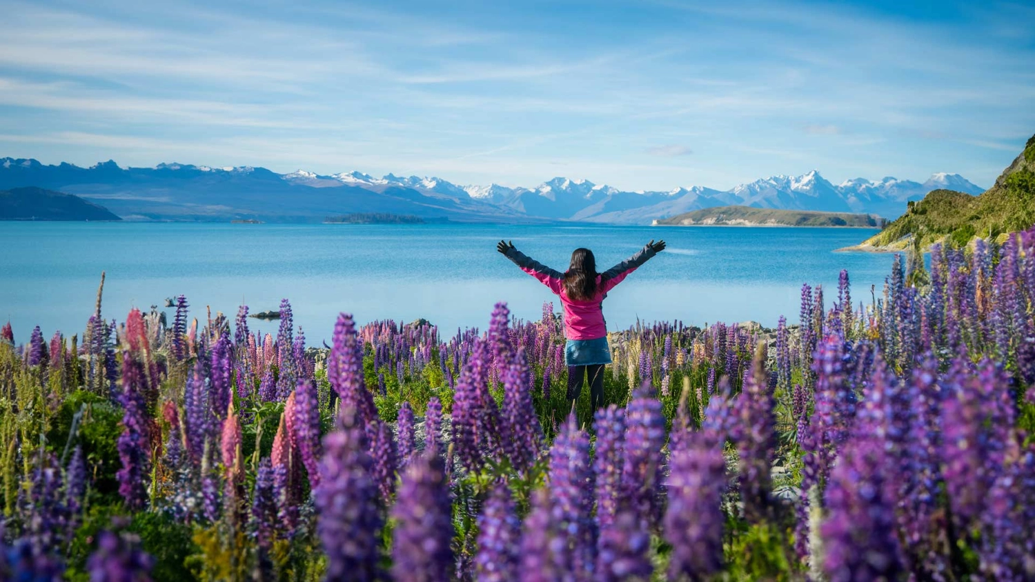 Woman admiring the view over Lake Tekapo in New Zealand