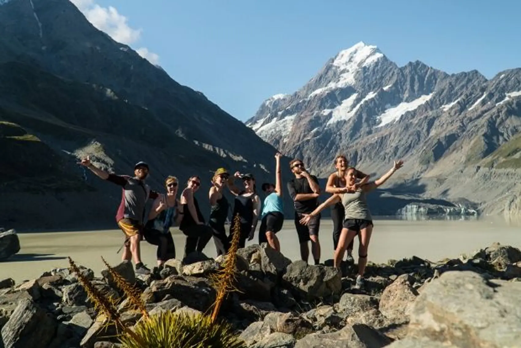 Wild Kiwi group in New Zealand