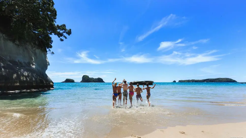 Group of people run into the ocean in The Coromandel