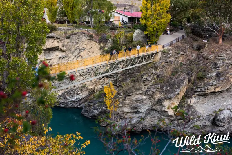 See more of New Zealand - Book a road trip that takes in all the sights