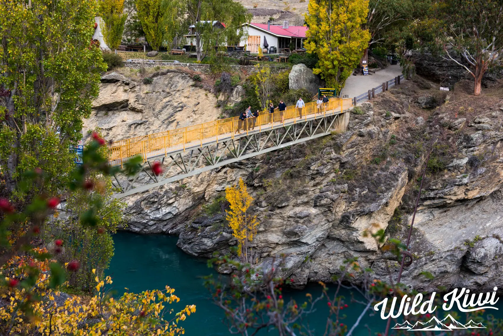 See more of New Zealand - Book a road trip that takes in all the sights