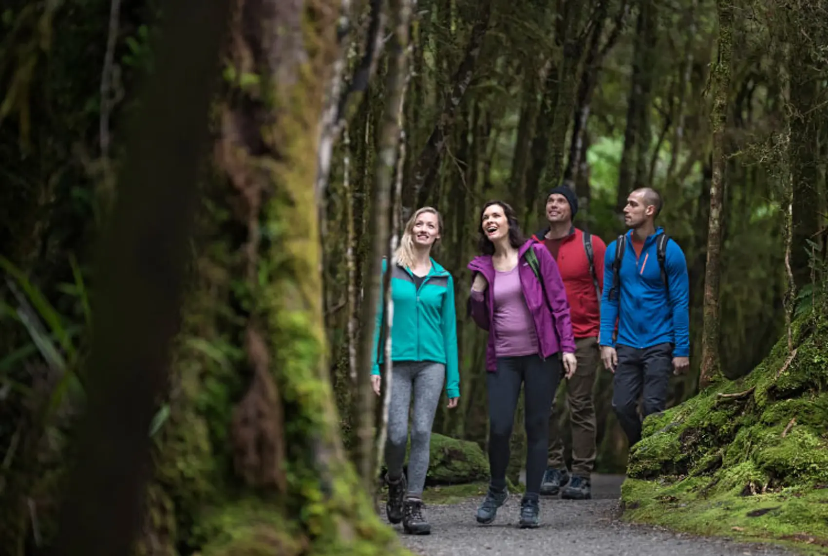 Group of friends explore native bush in New Zealand